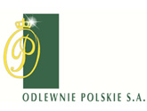 logo Odlewnie Polskie